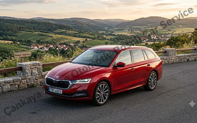 Ankara Skoda Servisi 